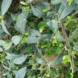 DSC07073.JPG