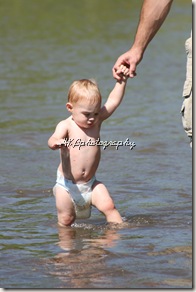 IMG_3241 IMG_3241