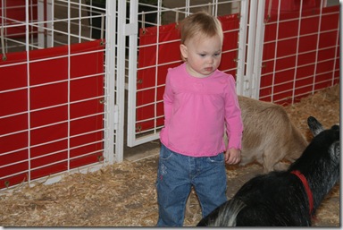 IMG_4067 IMG_4067