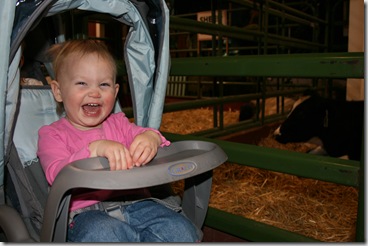 IMG_4045 IMG_4045