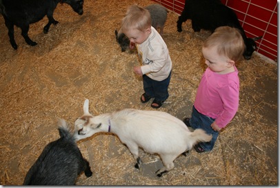 IMG_4062 IMG_4062