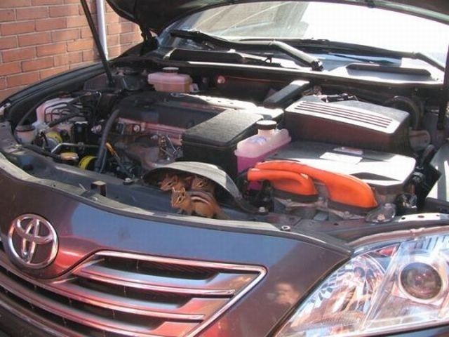 [surprise_in_car_013.jpg]