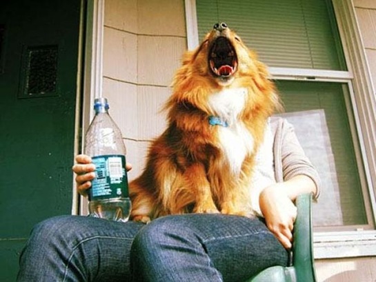 [forced perspective pictures 3[2].jpg]