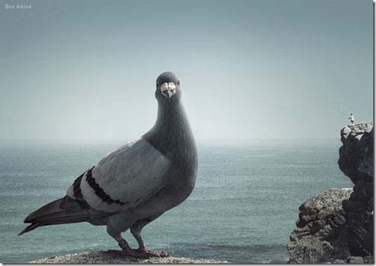 forced perspective pictures 5