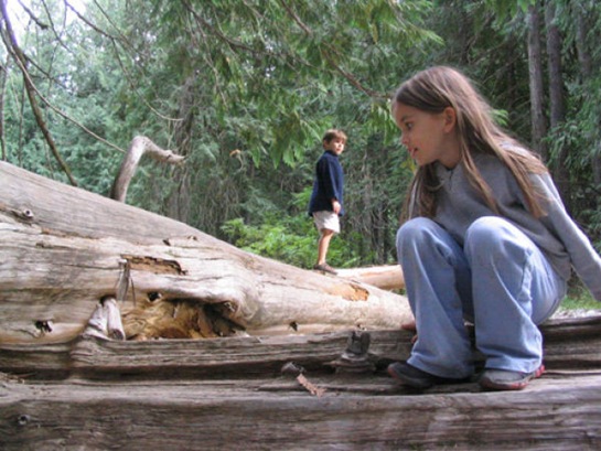 [forced perspective pictures 10[2].jpg]