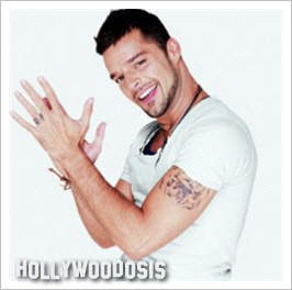  Ricky Martin aceptó su bisexualidad