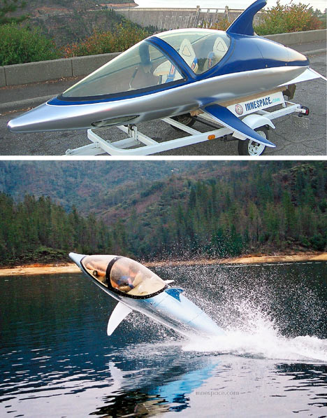 dolphin1468x597ai9.jpg