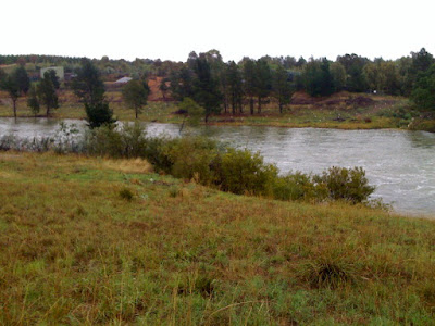 Molonglo in flood