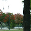 p1160410color.jpg p1160410color.jpg