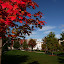 p1160495.jpg