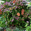 p1160509.jpg