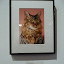 Bella Figura Lorenzo the Cat photo by Joann Biondi