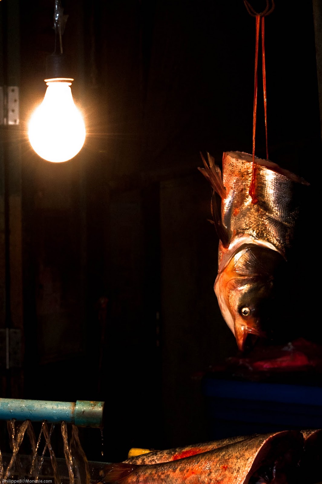 [02022011-_D7C9270[4].jpg]