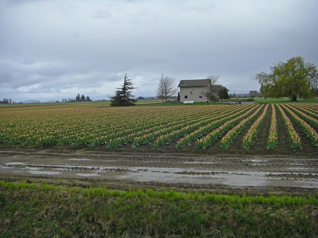 [CIMG7988_edited-1[4].jpg]