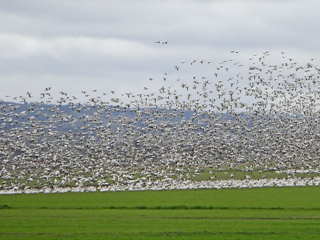 [CIMG8003_edited-1[6].jpg]