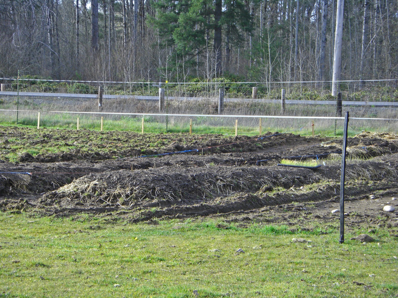 [CIMG8252_edited-1[3].jpg]