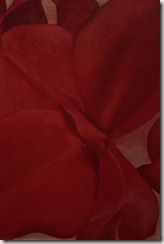IMG_0007 IMG_0007