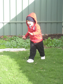 Lachlan