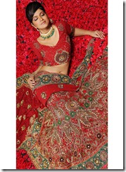 pakstani briade . latest fashion of pakistan . indian bride . desi girls. mehendi desinge . dulhan dreess for 2011. pk models. paki girls. indian girls (17)
