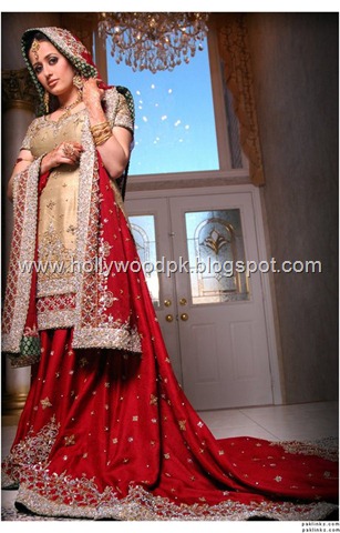 [pakistani bridial dresses lehnga choli poshak. mehendi design . pakistani gewellery. indian bride (5)[2].jpg]