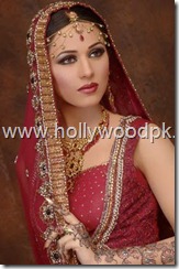 pakistani bridial dresses lehnga choli poshak. mehendi design . pakistani gewellery. indian bride (7)