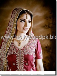 pakistani bridial dresses lehnga choli poshak. mehendi design . pakistani gewellery. indian bride (19)