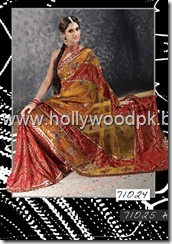 indian saari. pakistani saari. bangladeshi saari. pakistani fashion.. indian fashion. latest dresses (54)