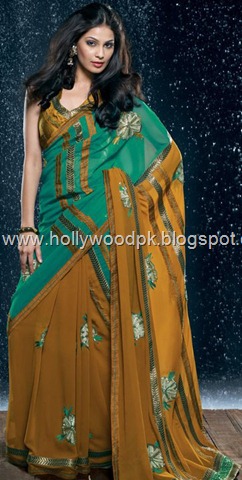 [indian saari. pakistani saari. bangladeshi saari. pakistani fashion.. indian fashion. latest dresses (79)[2].jpg]
