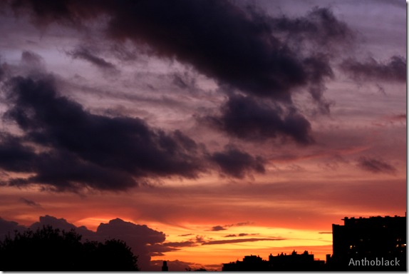Brussels