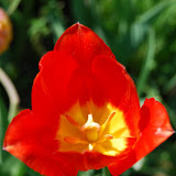 20090503 Dzialka