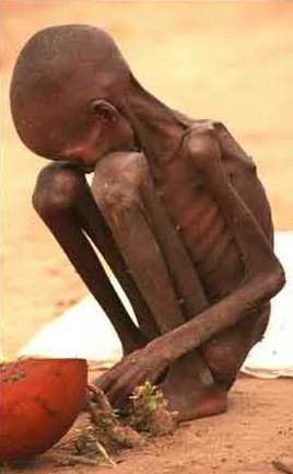 [starving_child-sudan2[3].jpg]