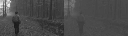 暴力射击游戏能提高视力 | Jandan.net