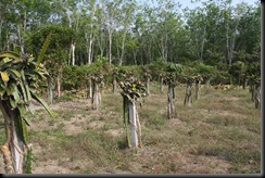 IMG_4572 IMG_4572