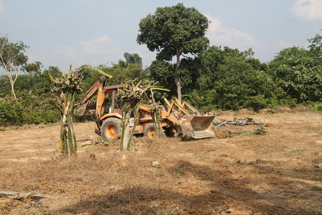 [Jom berkebun 13.2.2011 2 064[2].jpg]