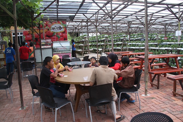 [Cameron Highland 18.3.2011 097[2].jpg]