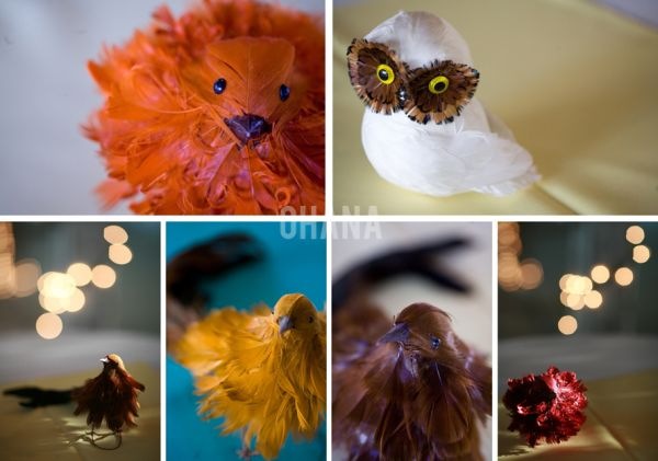 [cocktailbirds[5].jpg]