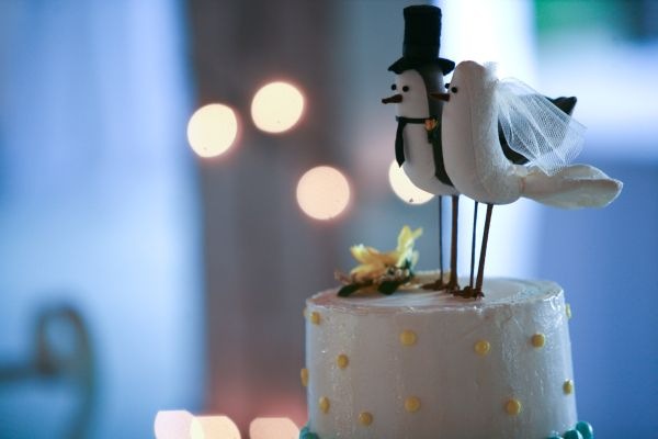 [birdcake2[5].jpg]