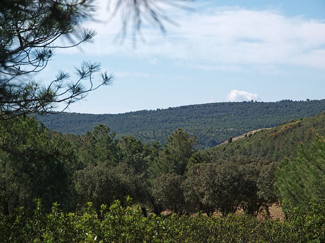 [P4254283[7].jpg]