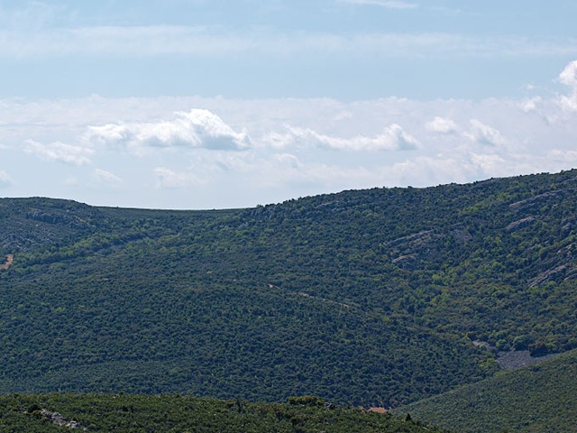 [P4254333[3].jpg]