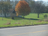 2006Oct 036.jpg