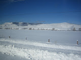 200612Colorado 022.jpg