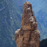 The best climbers in the animal world