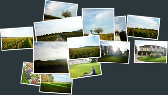 檢視 Castle & Winery sunset @ Burgundy 2010