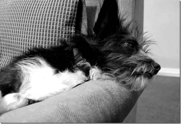 spoiled5