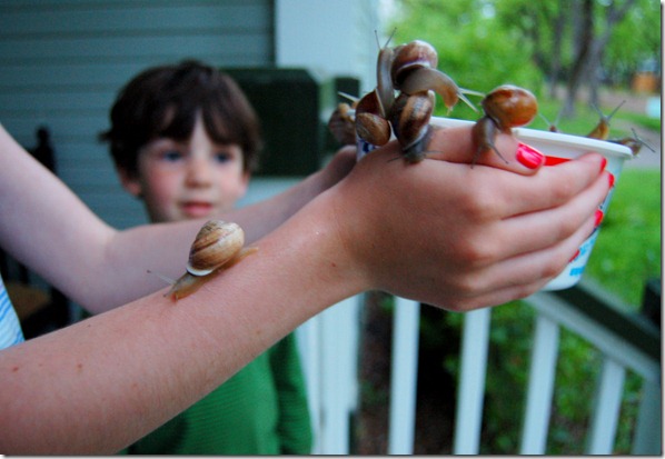 snails1