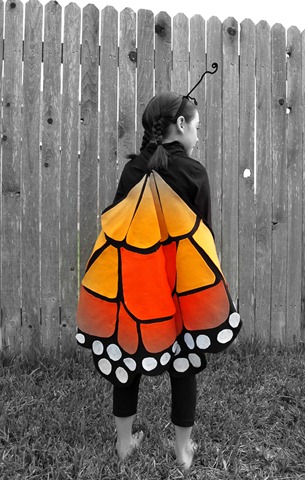 [monarch7[6].jpg]