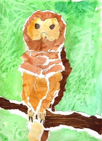 [owl[4].jpg]