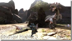 monster-hunter-3-20081006072330060_640w