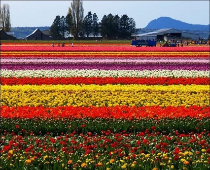 14 14