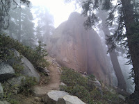 IMG_20100922_113403.jpg Photo